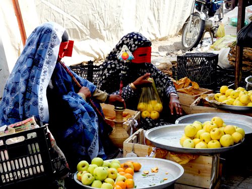 روایت کار زنان در گوشه ای از شمال و جنوب ایران